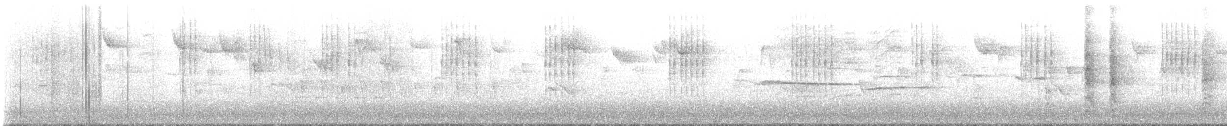 Волоочко канадське - ML644579953