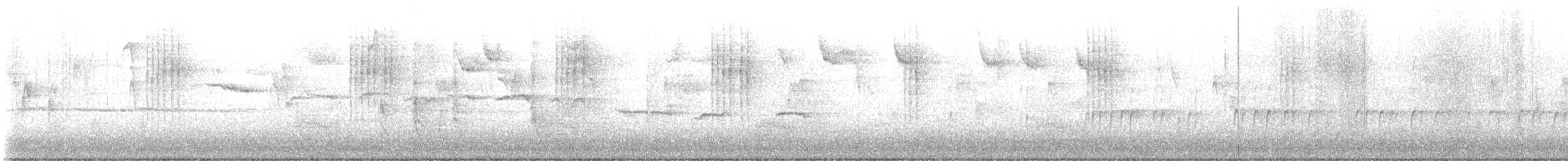 Волоочко канадське - ML644579954