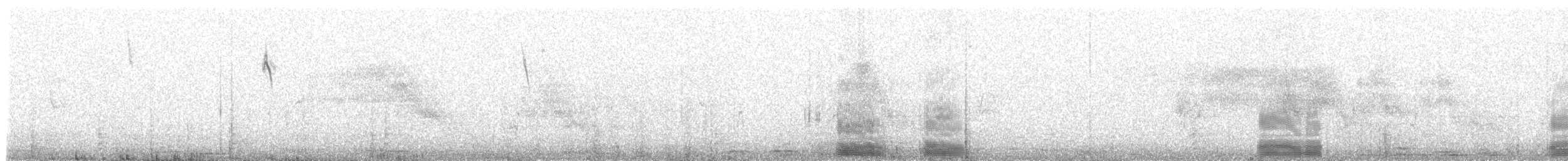 シロボシバト - ML644579986