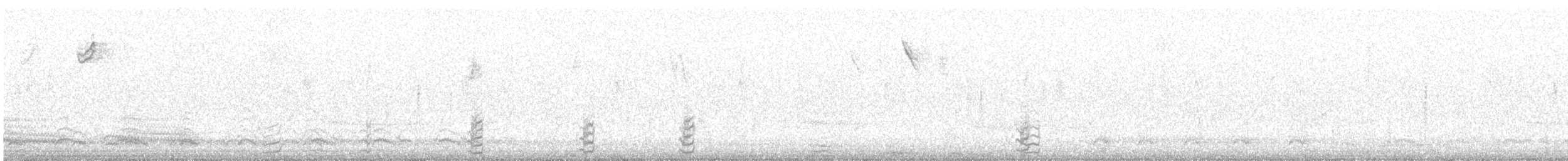 שרשיר (אמריקני) - ML644580385