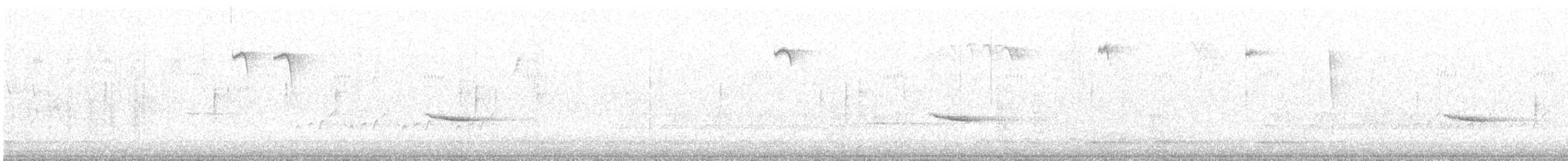 Einsiedler-Musendrossel (faxoni/crymophilus) - ML644580401