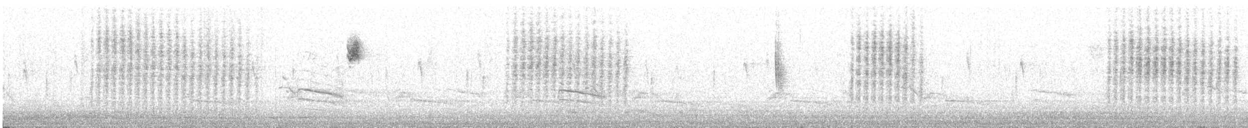 Hauszaunkönig [aedon-Gruppe] - ML644580407