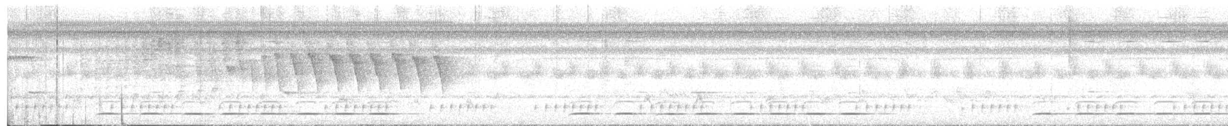 White-spotted Flufftail (Northern) - ML644580542