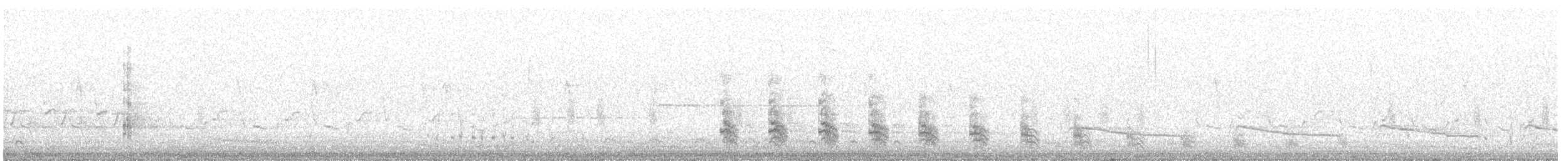 King Rail - ML644580724