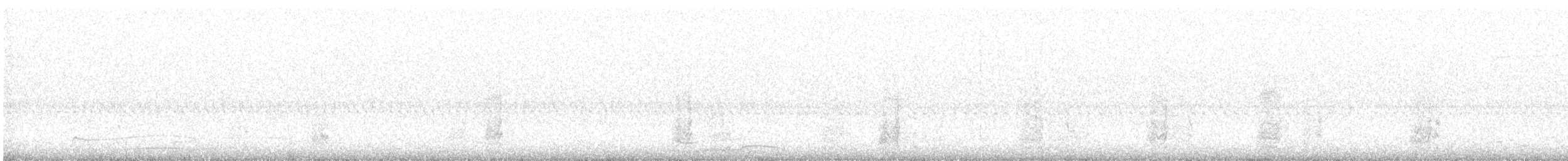 Wilson's Snipe - ML644580726