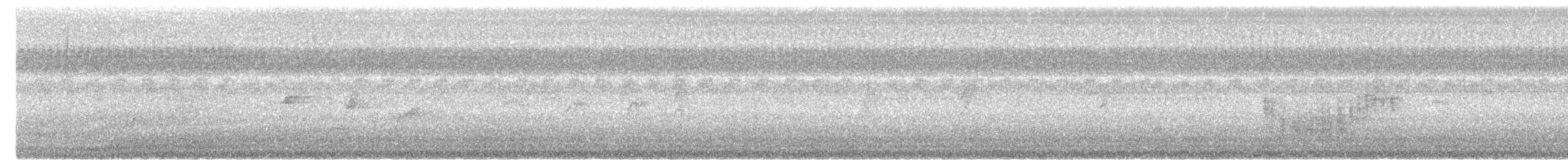 Bold-striped Tit-Babbler - ML644581540