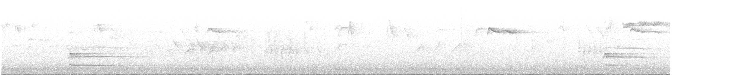 Black Woodpecker - ML644581967