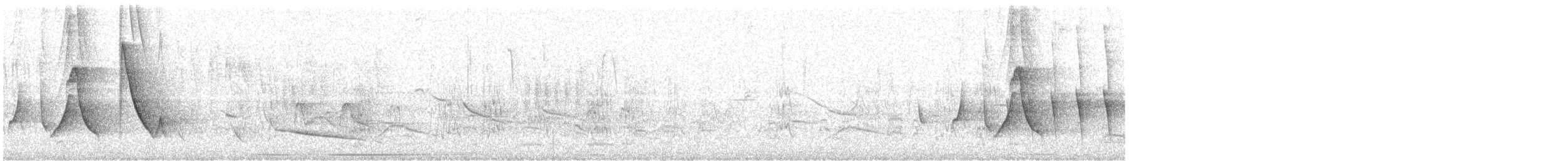 キバシイカル - ML644582107