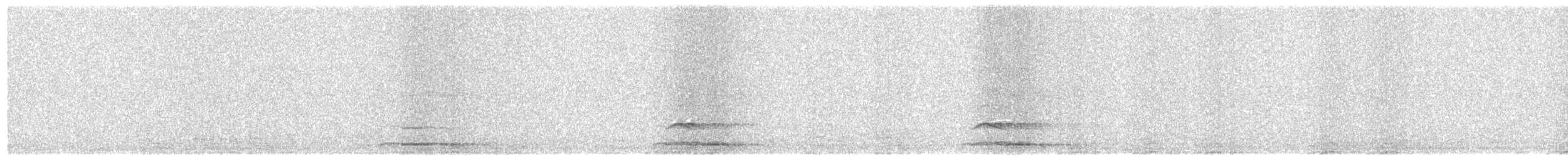 Chevêche d'Athéna (groupe noctua) - ML644582802