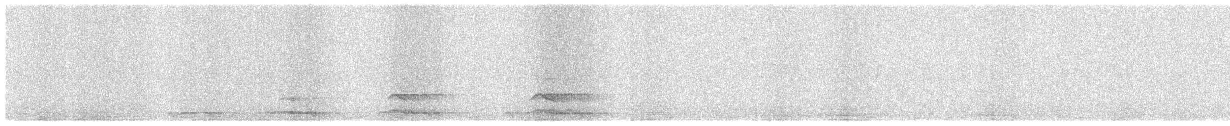 Chevêche d'Athéna (groupe noctua) - ML644582804