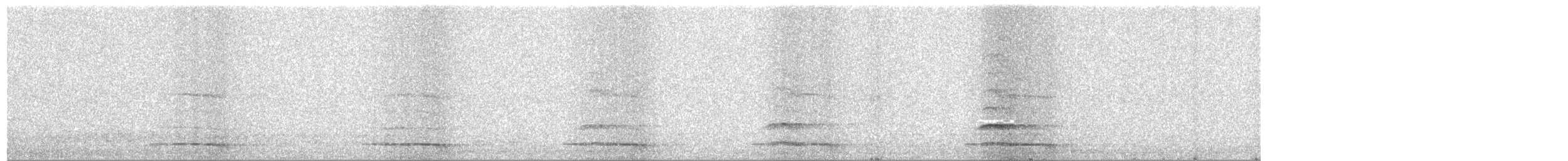 Chevêche d'Athéna (groupe noctua) - ML644582805