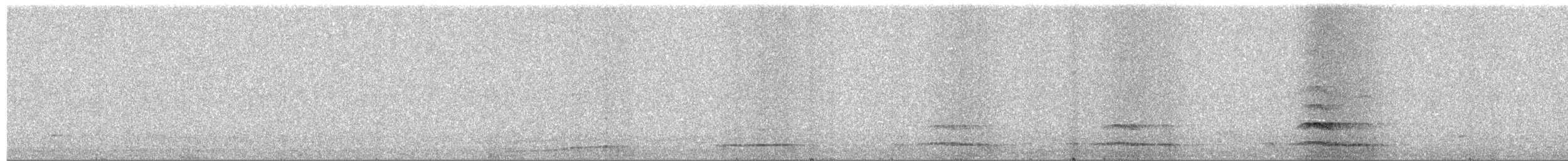 Chevêche d'Athéna (groupe noctua) - ML644582806