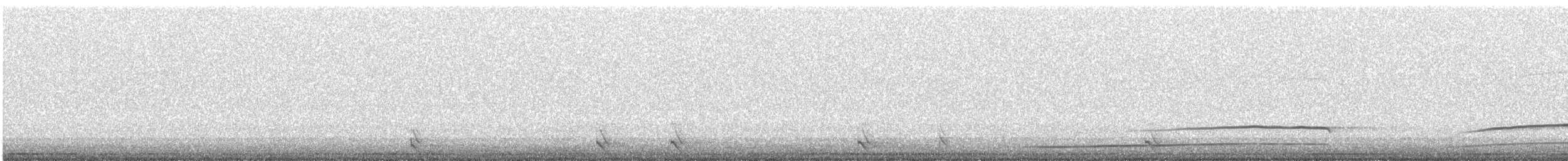 Northern Saw-whet Owl - ML644583223