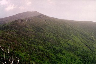 White Mt. NF--Caps Ridge Trail, Coos, New Hampshire, United States ...