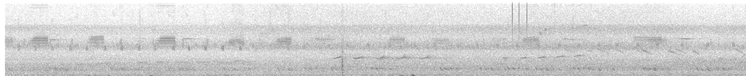 glansdrongogjøk - ML644584915