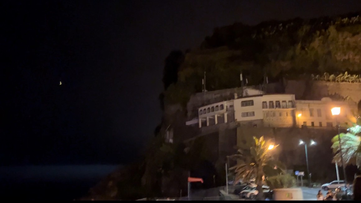 Atlantik Boz Yelkovanı - ML644586121