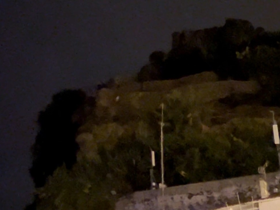 Atlantik Boz Yelkovanı - ML644586173