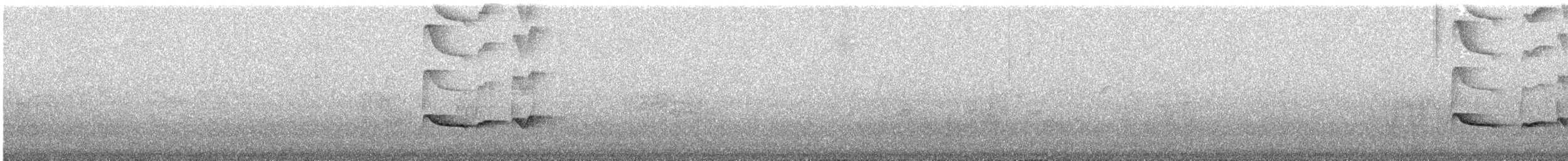 Greenish Schiffornis - ML644587073