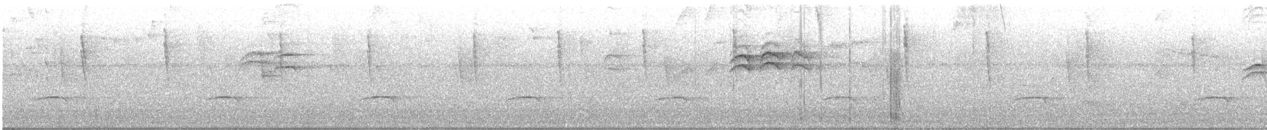 Mistletoe Tyrannulet - ML644587581