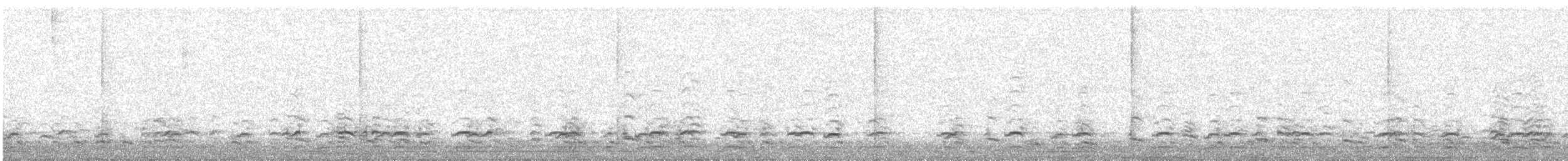 小加拿大雁 - ML644587639