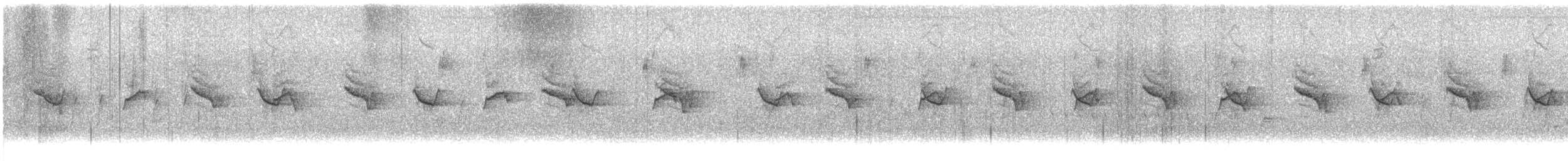 Madeirako txonta - ML644587792