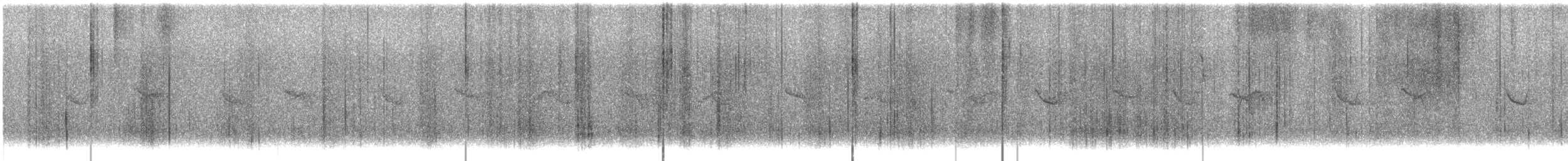 Madeirako txonta - ML644587793