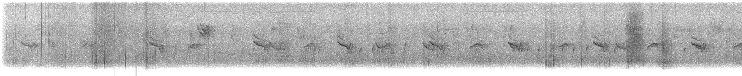 Madeirako txonta - ML644587795