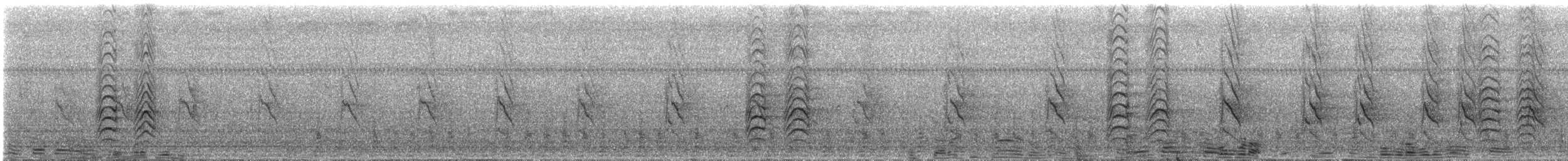 Perruche à moustaches - ML644587921