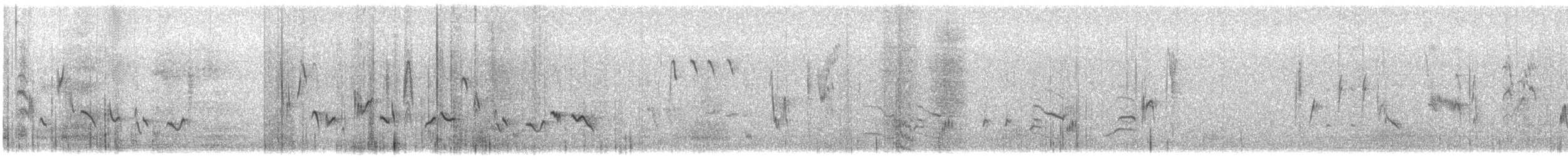 Txinbo kaskabeltza - ML644587944