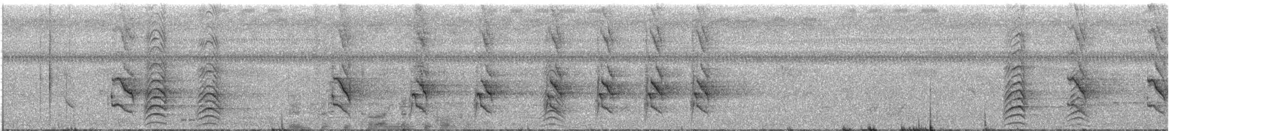 Perruche à moustaches - ML644588011