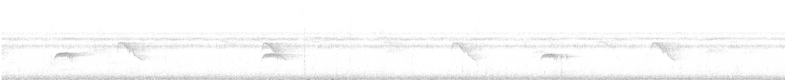 Northern Tropical Pewee - ML644588156