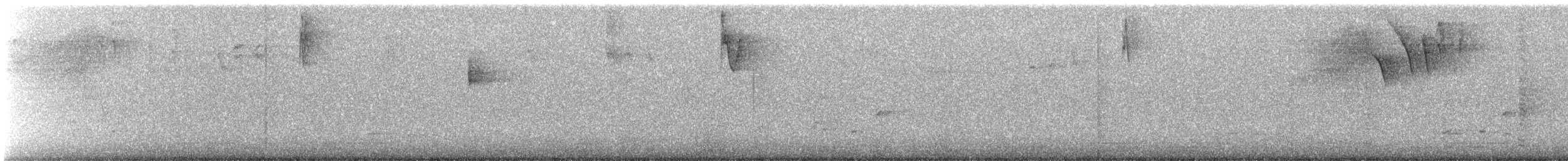 クロズキンアメリカムシクイ - ML644588343