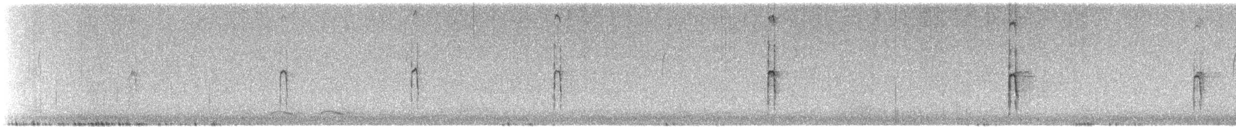 Hairy Woodpecker - ML644588469