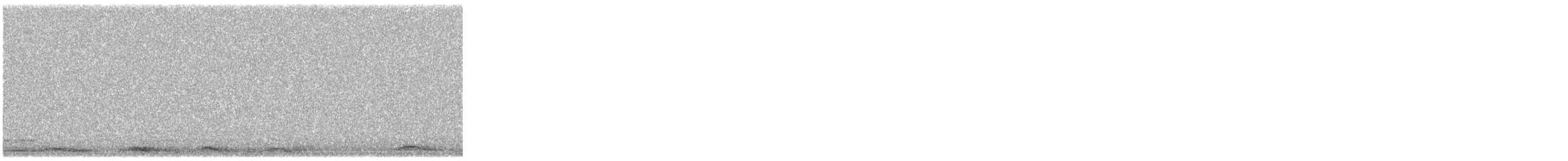 labuť malá - ML644588573