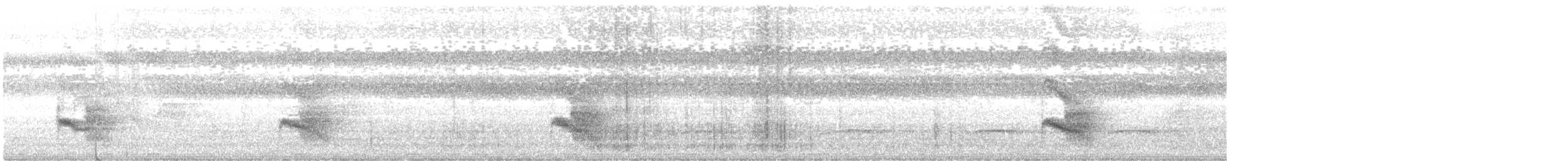 Batara ardoisé - ML644588597