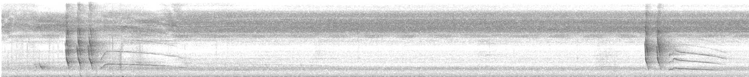 Grimpar élégant - ML644588636