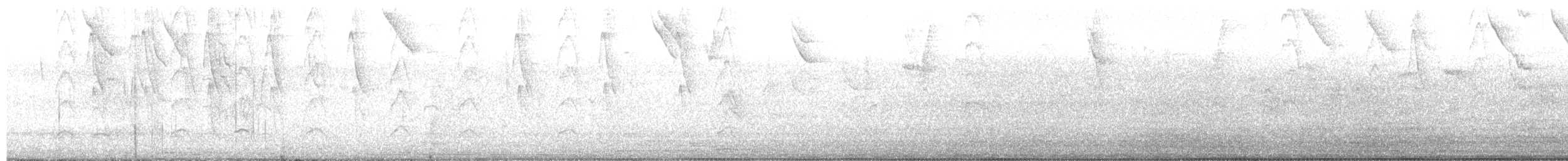 Blue Dacnis - ML644589217