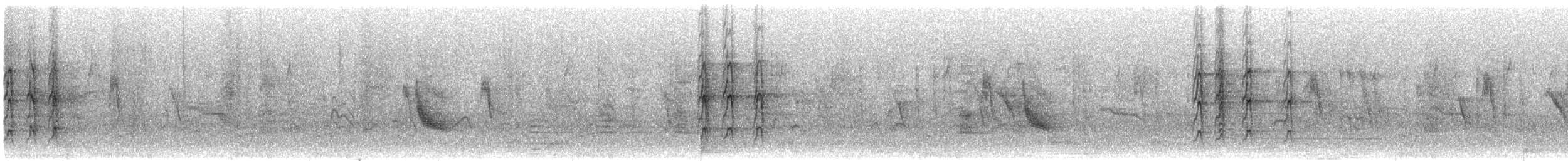 Grive à gorge noire - ML644589426