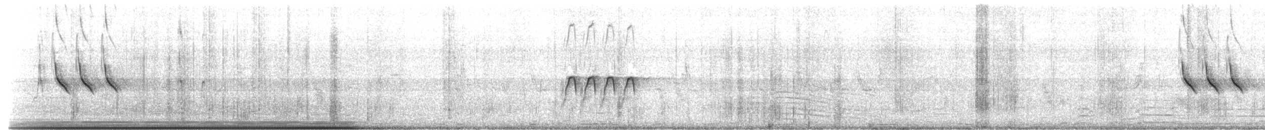 African Pied Wagtail - ML644589466