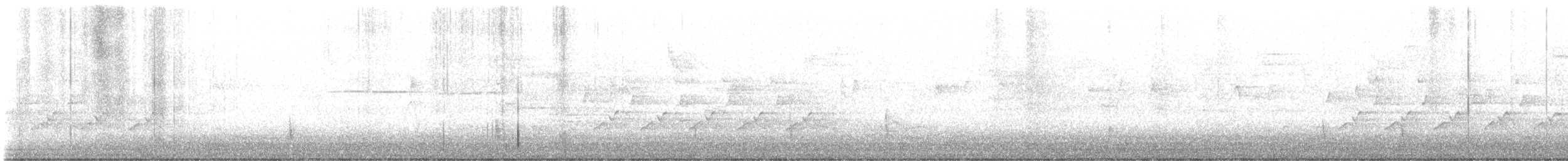 Hermit Thrush - ML644589657