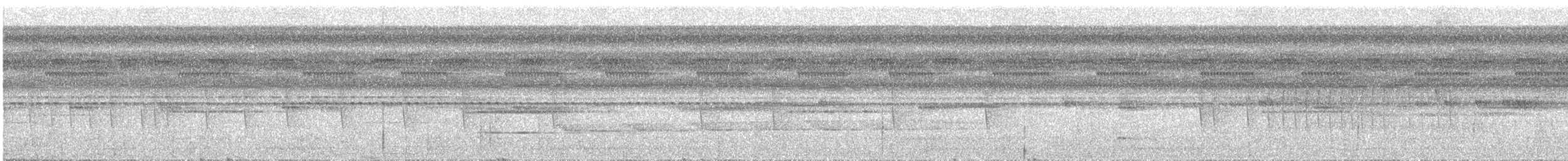 Colibri flamboyant - ML644590320