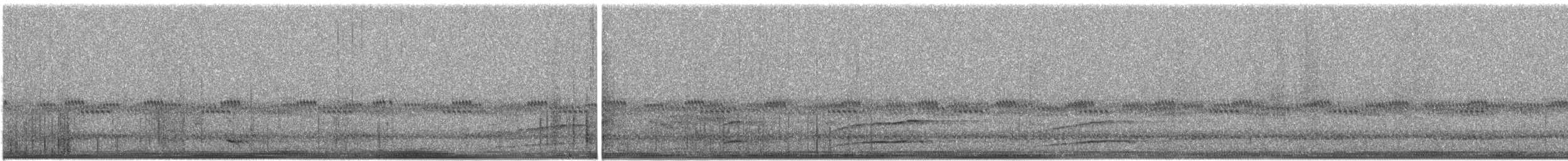 アメリカキンメフクロウ - ML644591024