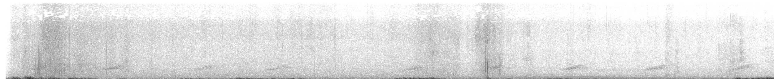 Little Spotted Kiwi - ML644591429