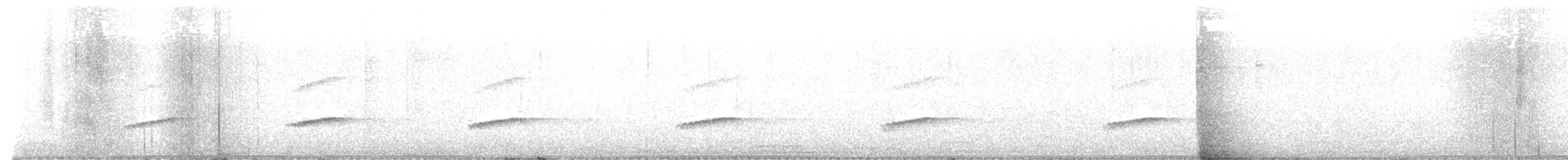 Little Spotted Kiwi - ML644591430