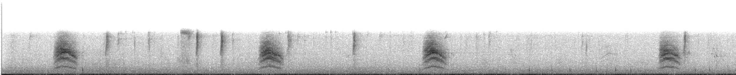 Spotted Towhee - ML644592318