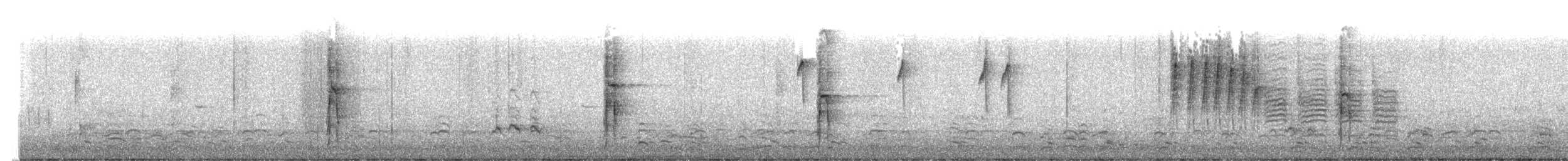 Hairy Woodpecker - ML644592381