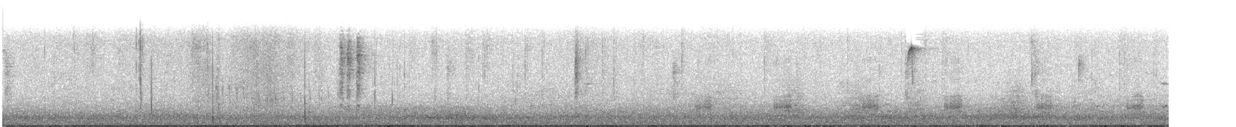 מלכילון אמריקני - ML644592425