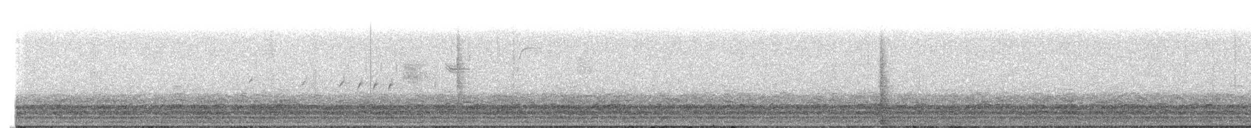 小加拿大雁 - ML644592468