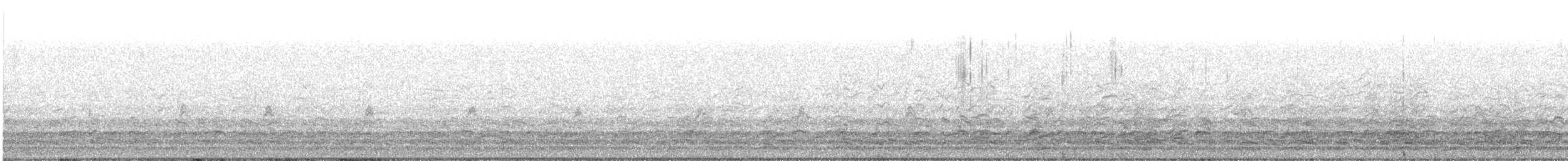 小加拿大雁 - ML644592469