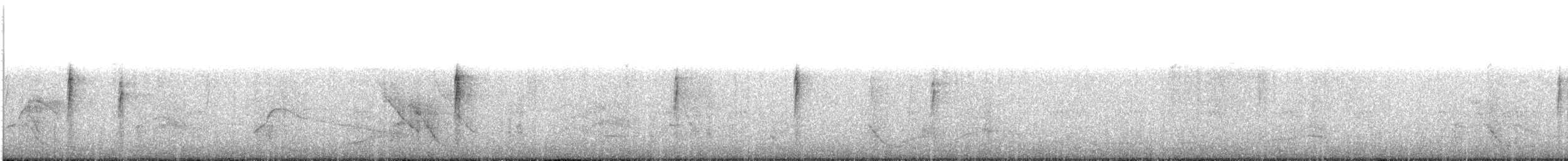 Yellow-rumped Warbler (Audubon's) - ML644592629